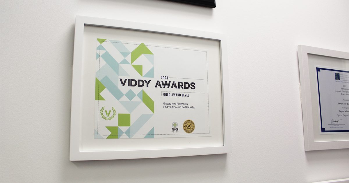 Viddy Award